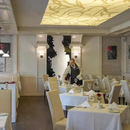 Grifid Arabella Aranyhomok