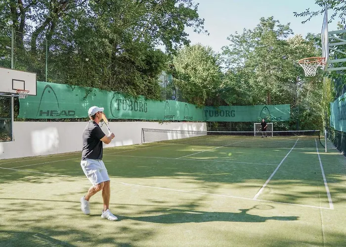 Grifid Arabella Nisipurile de Aur