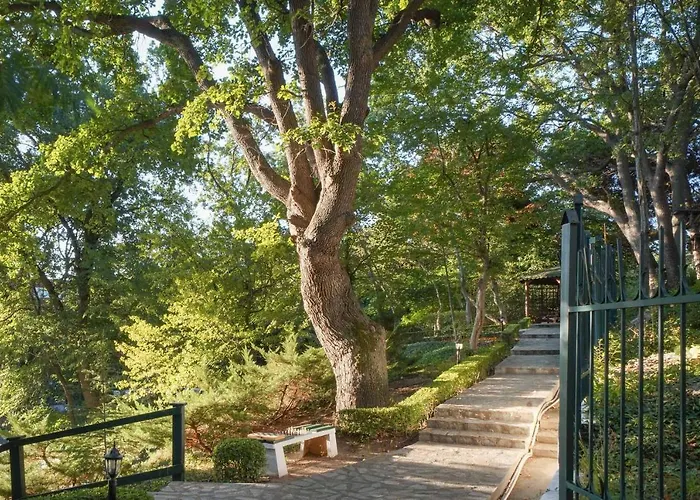 Grifid Arabella Nisipurile de Aur