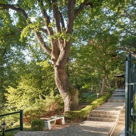 Grifid Arabella Златни пясъци